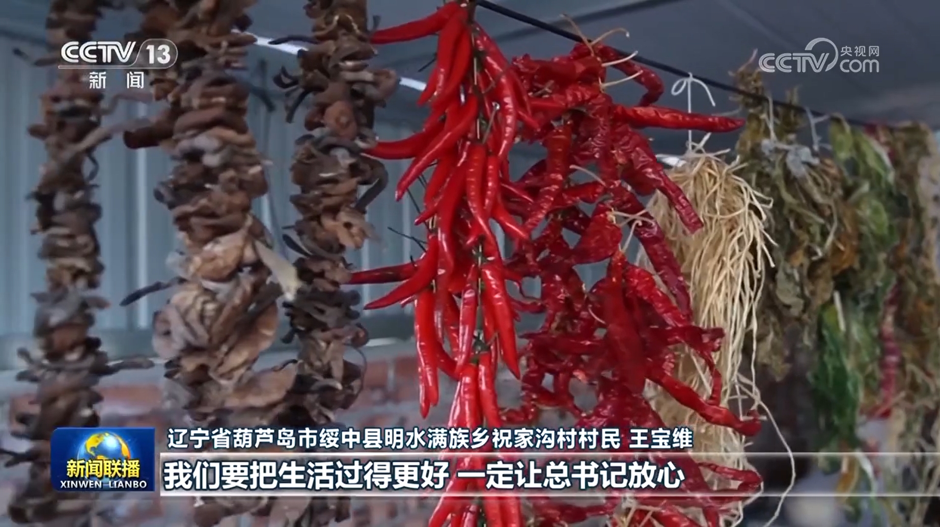 辽宁省委发言人__辽宁省百名书记谈初心